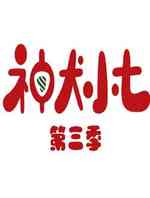 神犬小七第3季