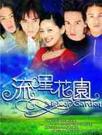 流星花园(2001年台剧)