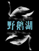 野鹅湖