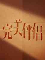 完美伴侣