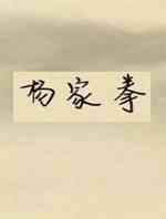 杨家拳