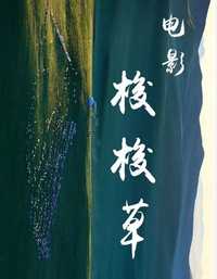 梭梭草