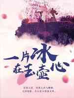 一片冰心在玉壶
