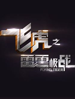 飞虎3之壮志英雄