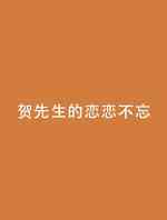 贺先生的恋恋不忘