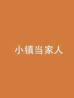 小镇当家人