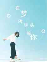 在梦的尽头等你