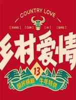 乡村爱情13