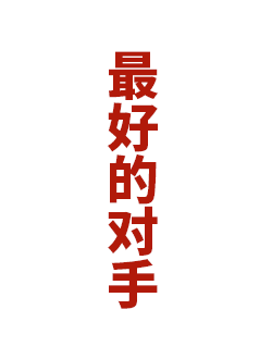 最好的对手