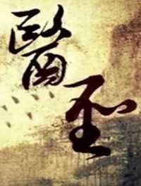 医圣
