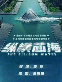 纵横芯海