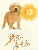 再见李可乐