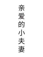 亲爱的小夫妻