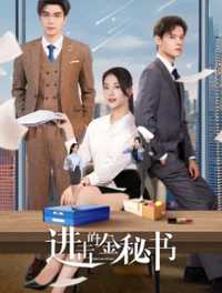 进击的金秘书