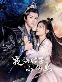 夜族公子小仙妻