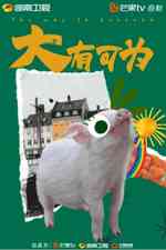 大有可为