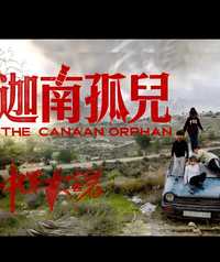 中东大宝荐2