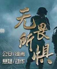 无所畏惧(网剧)