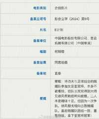 E计划