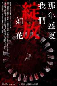 那年盛夏 我们绽放如花