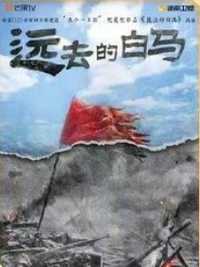 远去的白马