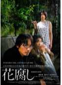 腐花之雨