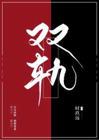 双轨