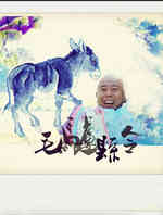 毛驴县令2
