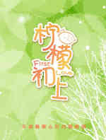 柠檬初上
