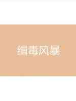 缉毒风暴