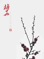 梅花香来时